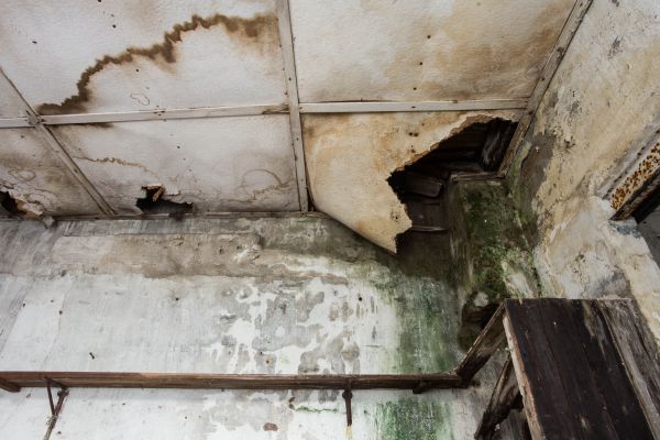 Water Damage Service in Torrance
