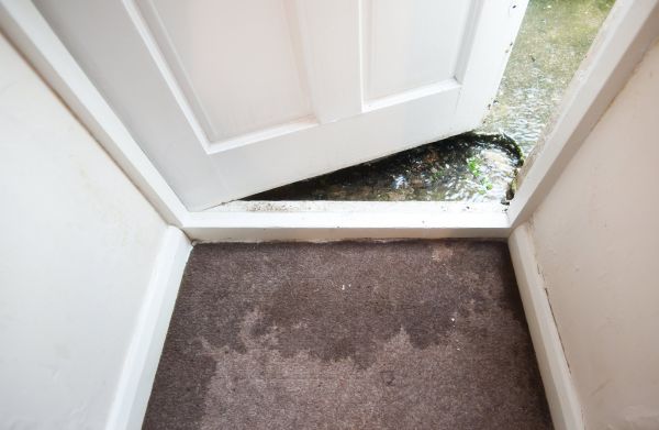 Cost of Wet Carpet Restoration in Torrance