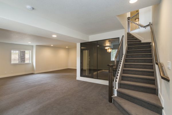 Basement Restoration Service in Torrance