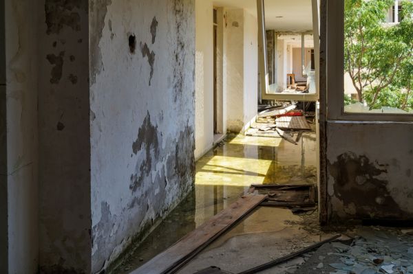 Cost of Water Removal Service in Torrance