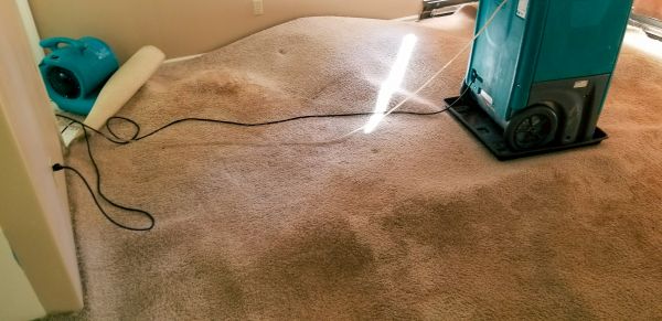 Cost of Carpet Water Extraction in Torrance