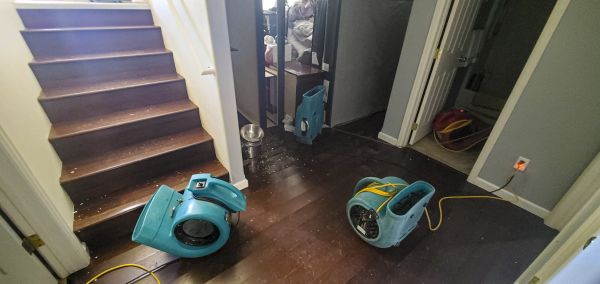 Water Damage Remediation in Torrance