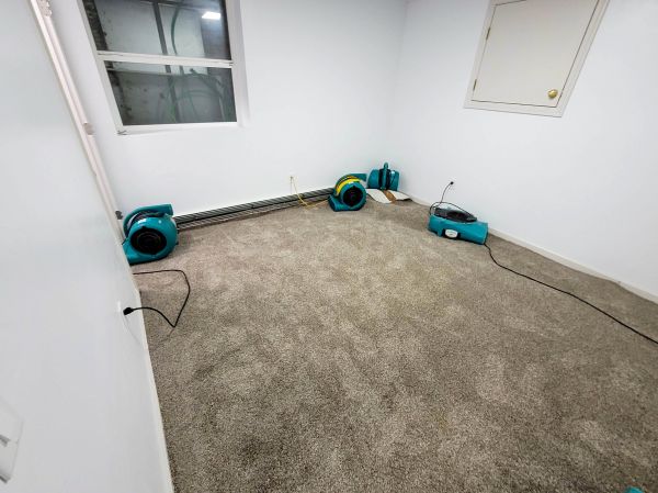 Flood Restoration Service in Torrance