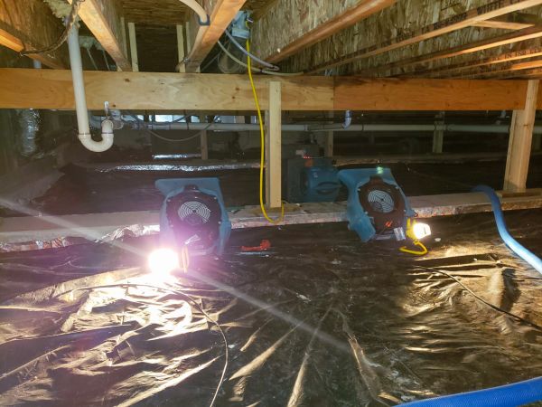 Cost of Crawlspace Water Removal in Torrance