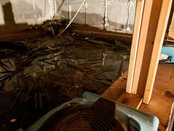 Cost of Crawlspace Water Cleanup in Torrance