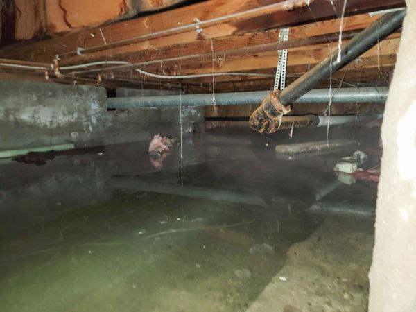 Cost of Crawlspace Water Restoration in Torrance
